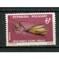 Малагасийская республика - 1966 - Насекомые 6Fr - [Mi.547] - 1 марка. MNH.  (Лот 37JB)-TG3P56