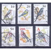 Беларусь стандарт птицы