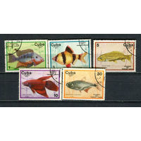 Куба - 1977 - Рыбки - 5 марок. Гашеные.  (Лот 2JN)-T4P1