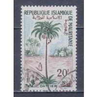 [1631] Мавритания 1967. Флора.Плоды.Пальма. Гашеная марка.