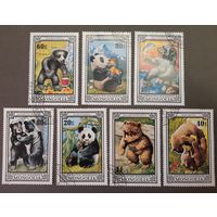 Монголия. 1974 год. Фауна. Медведи. 7 марок