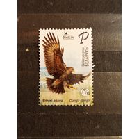 2019 Беларусь фауна птицы (5-7)