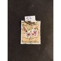 Бельгийское  Конго  1952  цветы