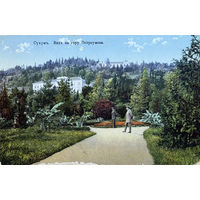 Открытка Грузия Сухум Сухуми Вид на гору Остроумова до 1917 Кавказ