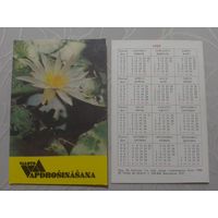 Карманный календарик. Страхование.1989 год
