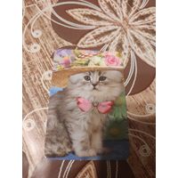 Календарик,коты,украина,2011