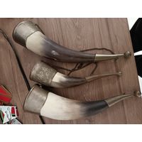 Декоративные рога.