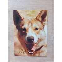 Календарик 1991