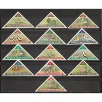 ФФ1 Малуку Селатан Рыбы