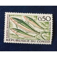 Конго** автономная республика 1961 рыбы