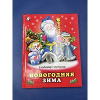 Владимир Степанов новогодняя зима