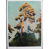 1957. Лактионов. Последний луч