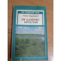 А.Марціновіч"Ля каменкі бруістай"(Па родным краі)\8