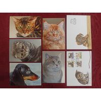 Беларусь - 2017 год - кошки - открытки и конверты