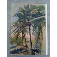 1955. Климашин. Вечер на Каф-Парейде. Бомбей