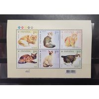 Украина. 2008 год. Фауна. Кошки (1245)