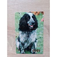 Календарик 1991