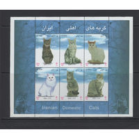 Фауна Кошки Иран 2004** Домашние животные Mi#Bl.41