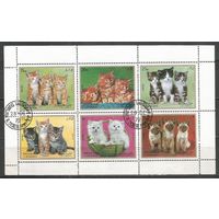 Шарджа. Котята. 1972г. St#1386-91. Klb.
