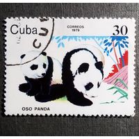 Марка Куба 1979 год Панда