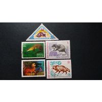 Фауна \47фа\ фауна енот соболь