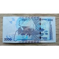 Werty71 Уганда 2000 шиллингов 2021 UNC банкнота Рыба