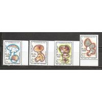 Сомали 1994 Флора Грибы MNH