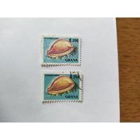 Гана 1991 1м ракушки