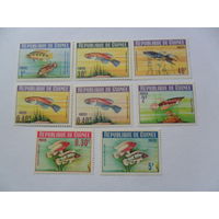 Экваториальная Гвинея, рыбки