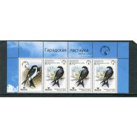 Беларусь 2004. Птица года. Городская ласточка. Верхняя сцепка листа с купоном