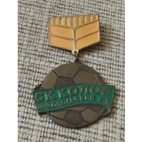 Футбольный клуб " Колос" Никопольский район.