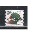 США-1991, (Мих.2127), гаш. , Стандарт, Птицы,