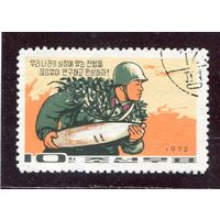 КНДР. Укрепление обороны КНДР