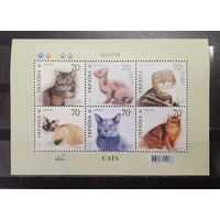 Украина. 2007 год. Фауна. Кошки (1246)