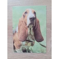 Календарик 1993