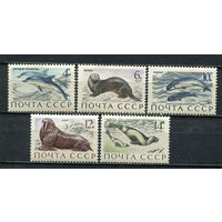 СССР - 1971 - Фауна - [Mi. 3913-3917] - полная серия - 5 марок. MNH, MLH.  (LOT Gu38)-T3P53