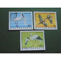 Венгрия 1976 г. Птицы.