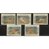 Коморы-1985(Мих.746-750),  **,    Морская Фауна ,Раковины, (полная серия)
