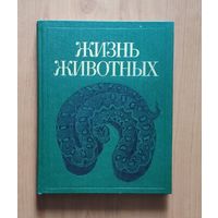 Жизнь животных. Том 5. Земноводные. Пресмыкающиеся