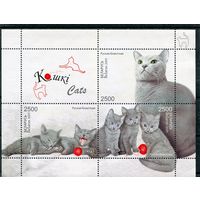 Беларусь 2009. Кошки. Блок