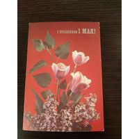 Открытка 1 мая
