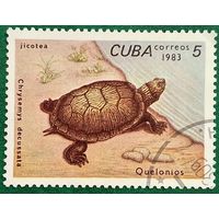 Куба 1983. Кубинская ромбическая черепаха
