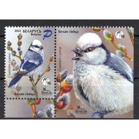 Беларусь 2022. Птица года. Синица. 1марка+купон (1180)
