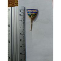 Значок ZG завод Жальгирис