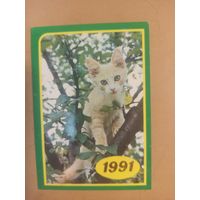 Календарь 1991 кошки/4