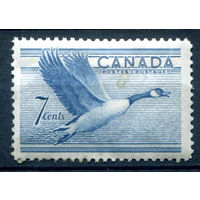 Британские колонии - Канада - 1952/53г. - канадский гусь, 7 с - 1 марка - MH [Mi 274]. #3-WB-100-A-2