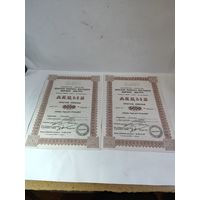 Две  именных акции 1993 г. "Минской фабрики художественных изделий МАСТРА.