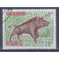 [268] Лаос 1970. Фауна.Дикий кабан. Гашеная марка.