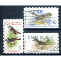Канада - 1969г. - птицы - 3 марки - полная серия, гашёные [Mi 438-440]. #3-WB-92-A-1