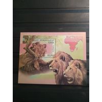 Бенин 1999г. Кошки.